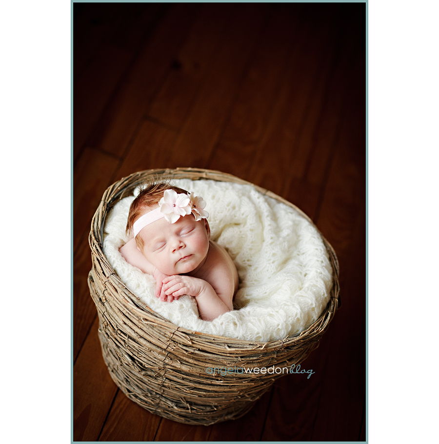 Jaylie+brooklyn » Angela Weedon Photography: Maternity And Childrens 